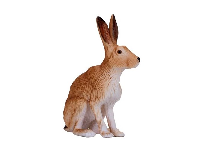 MJ381072 Hare zajic H