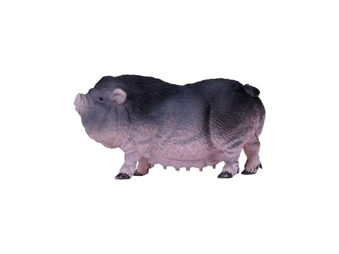 MJ381079 Prase brichate H