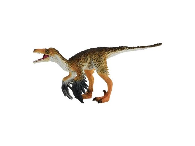 MJ381089 Troodon H
