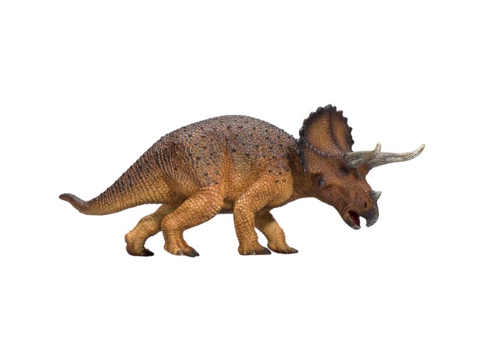 387364 Triceratops 1 540x540