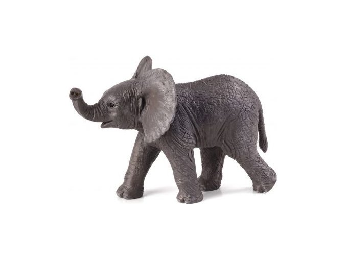 387002 slon.africky slune e1485440544197 540x399