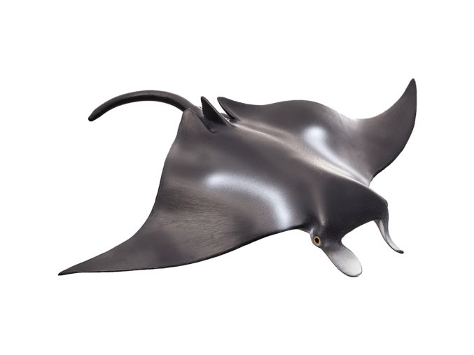 387353 Manta Ray 540x307