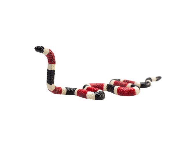 387251 Coral Snake 1 540x540 20 1