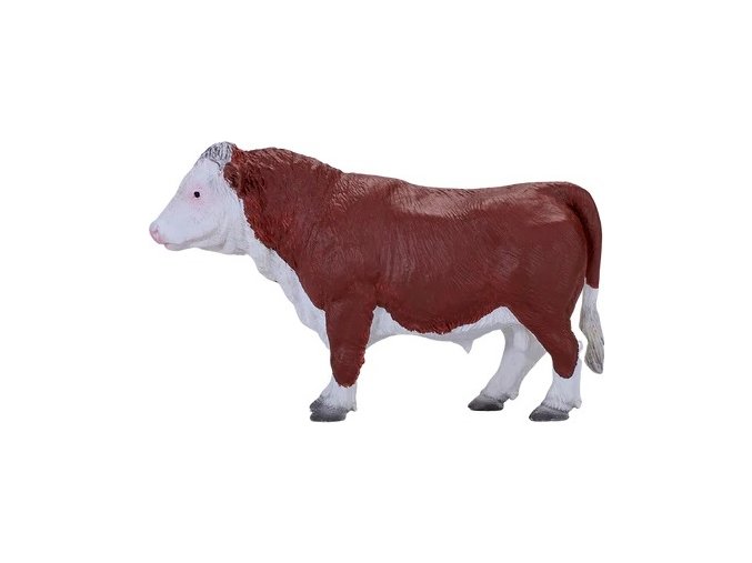 MJ381073 Hereford byk H
