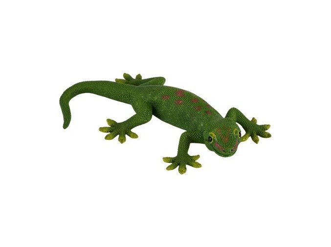 MJ381078 Gecko H