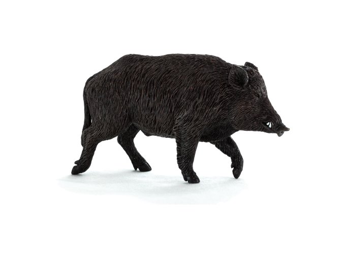 387160 e1431677248346 540x340