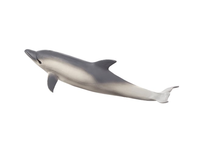 387358 Common Dolphin 540x193