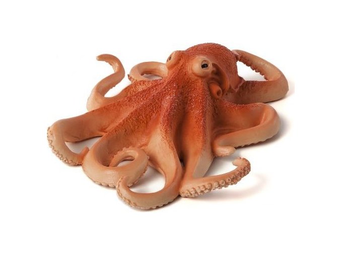 387275 OCTOPUS e1485447372165 540x451