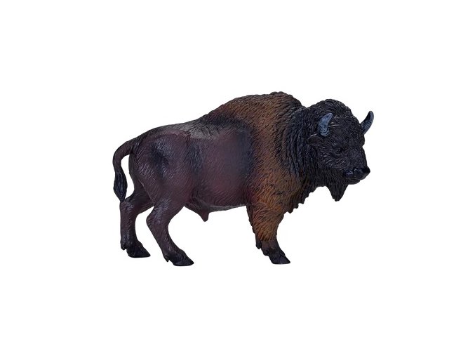 MJ381076 American Bison H