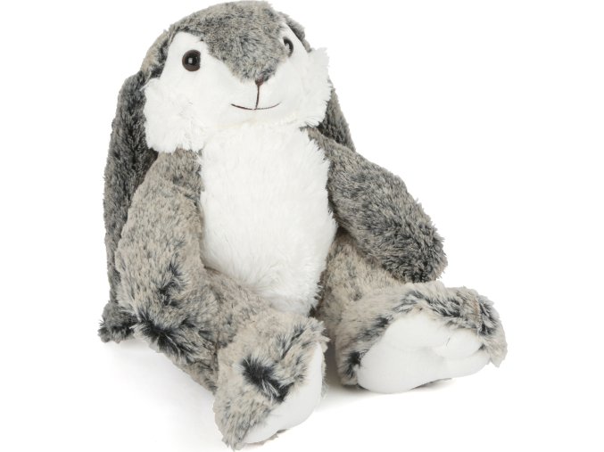 6328 Hase Hoppel 20170628