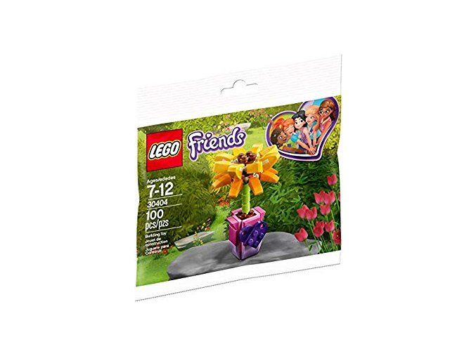 30404 lego friends