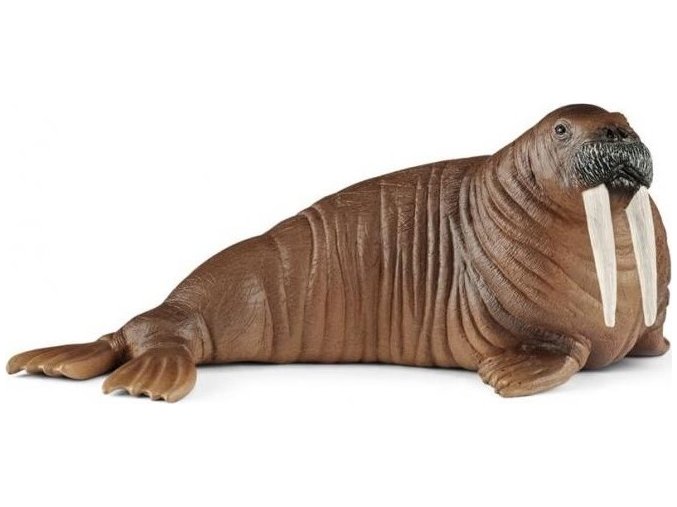 Schleich 14803 Mrož