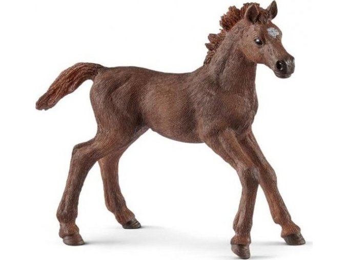Schleich 13857 Anglický plnokrevník hříbě