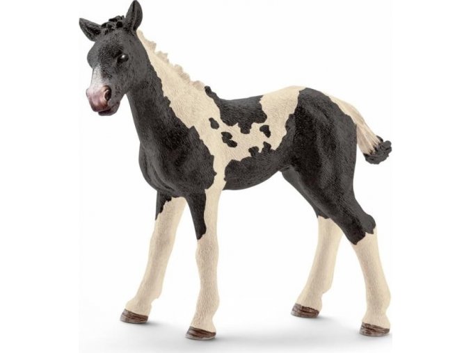 Schleich 13803 Pinto hříbátko