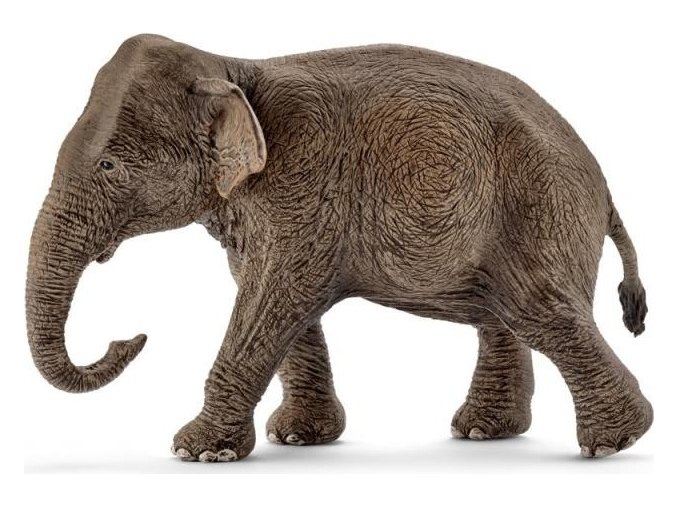 Schleich 14753 Asijský slon samice