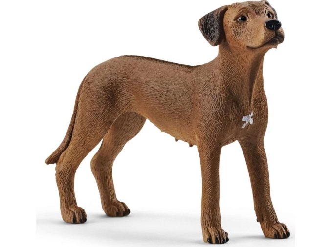 Schleich 13895 Ridgeback rhodéský