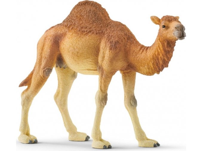 Schleich 14832 Velbloud Dromedár