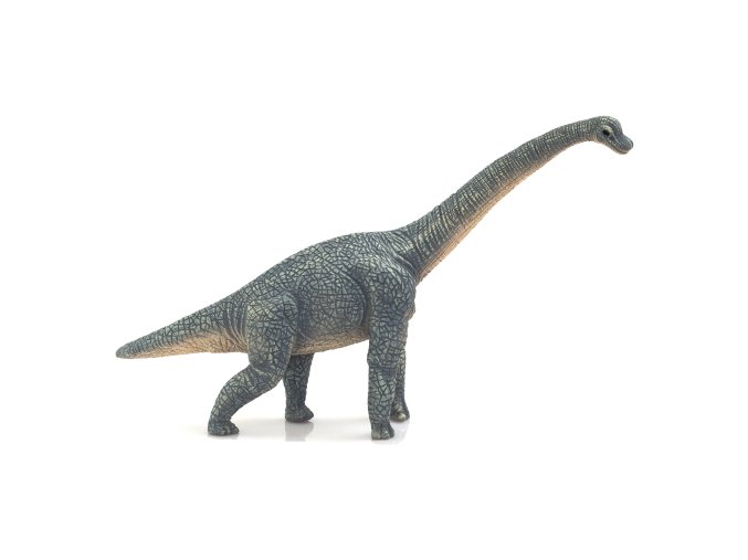Mojo Animal Planet Brachiosaurus