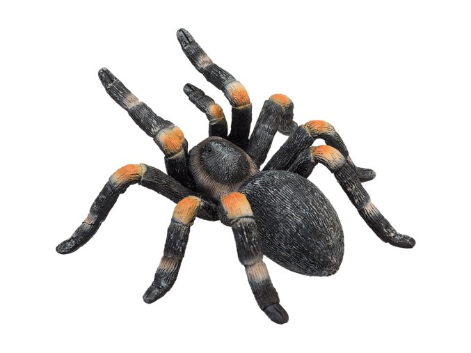 Mojo Animal Planet Sklípkan Smithův