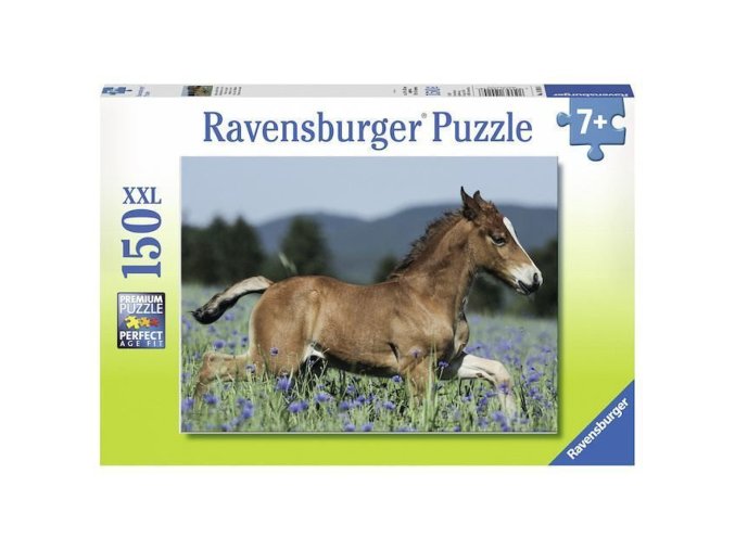 Ravensburger 10024 Puzzle Hříbě XXL 150 dílků