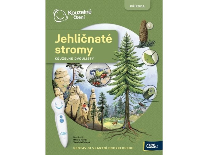 Kouzelné čtení Dvoulist - Jehličnaté stromy