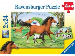 Ravensburger 08882 Puzzle Svět koní 2x24 dílků