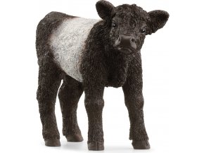 Schleich® 13969 gallowayské tele