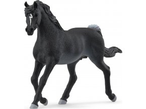 Schleich® 13981 arabský hřebec