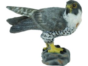 Collecta 88399 Sokol stěhovavý