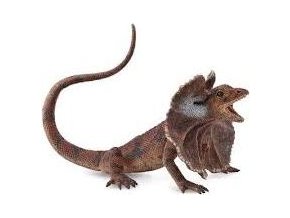 Collecta 88690 Agama límcová