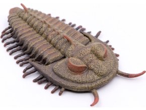Collecta 88906 Redlichia Rex trilobit