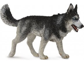 Collecta 88707 Sibiřský husky