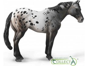 Collecta 88947 Appaloosa Blue grošák