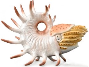 Collecta 88946 Cooperoceras
