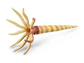 Collecta 88903 Orthoceras