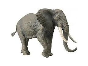 Collecta 88966 Slon africký
