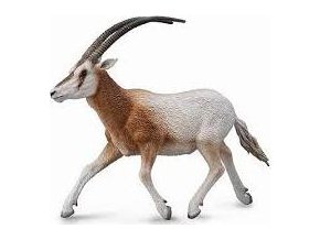 Collecta Přímorožec šavlorohý Oryx scimitar