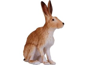 MJ381072 Hare zajic H