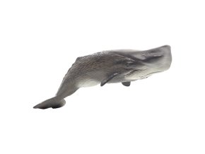 387210.animal