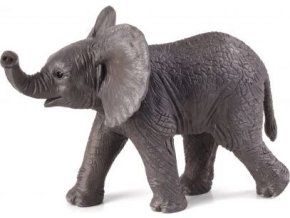 387002 slon.africky slune e1485440544197 540x399