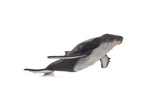 387277.animal
