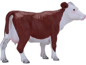 MJ381074 Hereford krava H