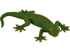 MJ381078 Gecko H