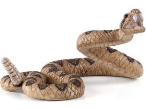 387268 RATTLESNAKE e1485445680431 540x396