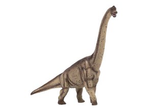 387381.animal