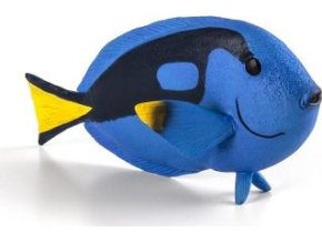 387269 BLUE TANG FISH e1485445912381 540x360