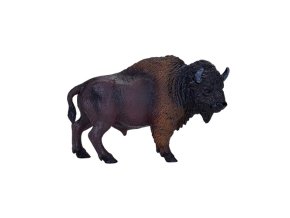MJ381076 American Bison H