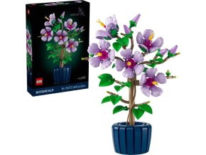 6d4eccd7b22e9bee9e4be1b518aa2243