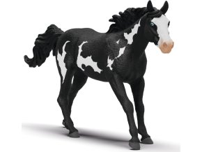 093fa37380ac5ec5813c6207b81cf391