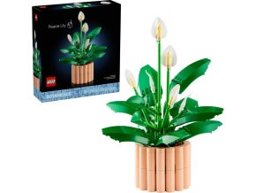 945d12c48a451efcca67c2aac22a4289